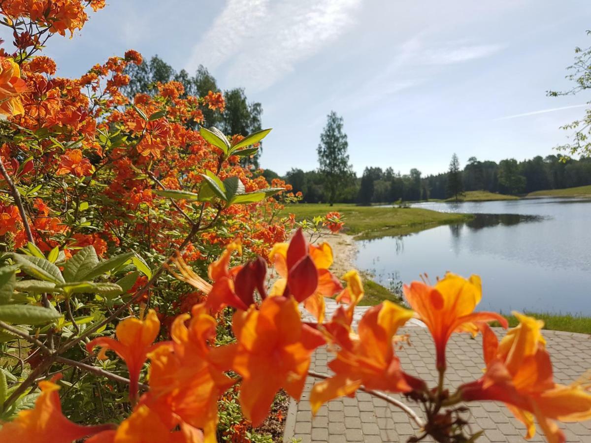Mezdzirnas Country House & Spa Kabile Eksteriør billede